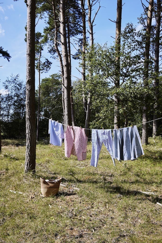 Sommerhus på deling Sommerhus på deling